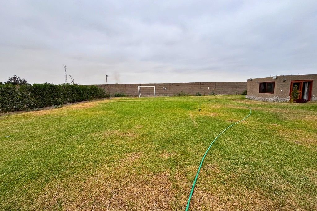 Cancha de fútbol de césped